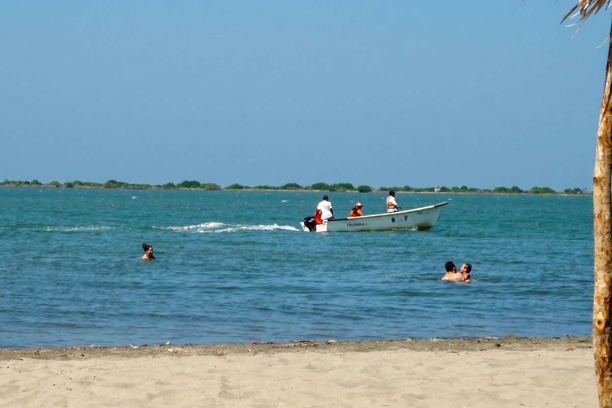 Vida marina o infraestructura local