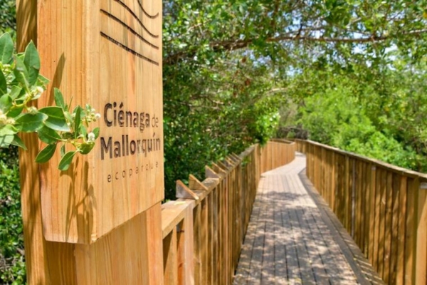 Ecoparque Ciénaga de Mallorquín