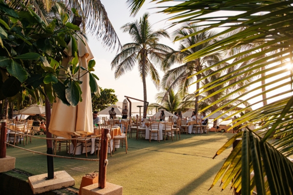 Pasadía Kilymandiaro