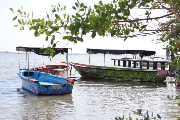 Pasarelas y manglares